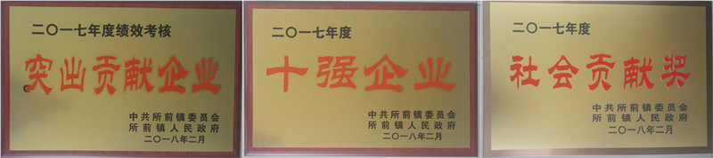 新光公司再獲所前鎮(zhèn)“突出企業(yè)貢獻(xiàn)獎”等多項榮譽(yù)