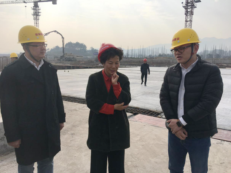 麗水市委常委、宣傳部長任淑女調(diào)研松陽美林·南城壹號(hào)項(xiàng)目